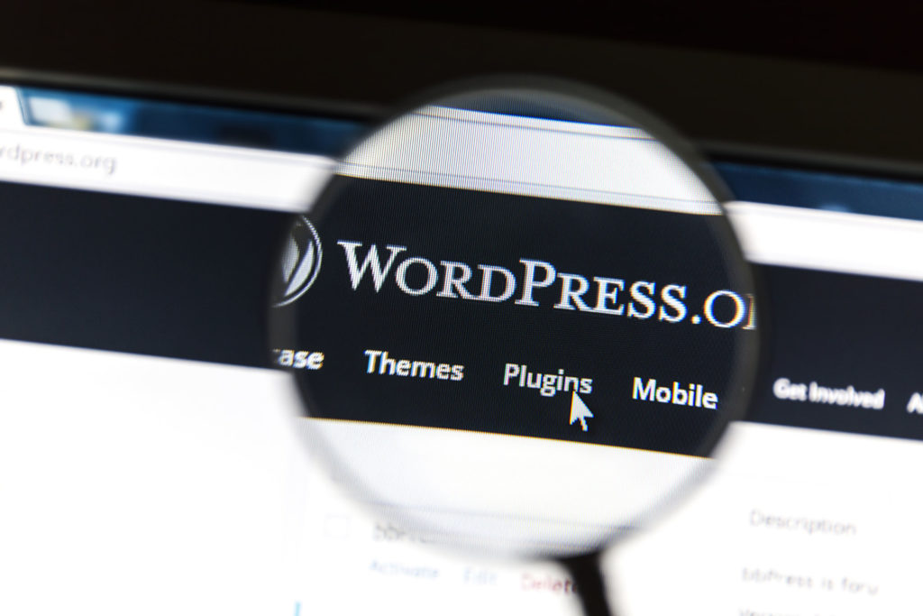 Our Favorite WordPress Plugins